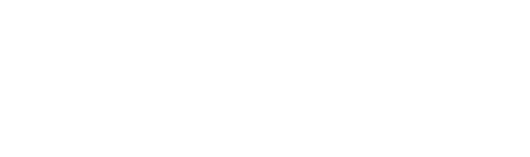 Nibus S+S Logo